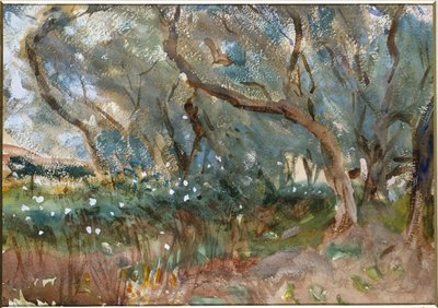 Krajina, Korfu, 1909 od John Singer Sargent