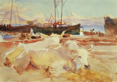 Oxen on the Beach at Baia, c.1908 (wc na papíře) od John Singer Sargent