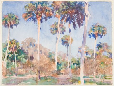 Palms, 1917 (wc přes grafit na papíře) od John Singer Sargent