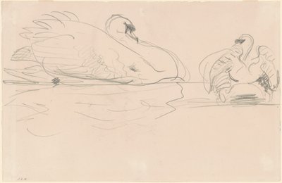Labutě ve vodě, 1880-1900. od John Singer Sargent