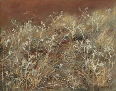 Bodláky, 1885-89 od John Singer Sargent