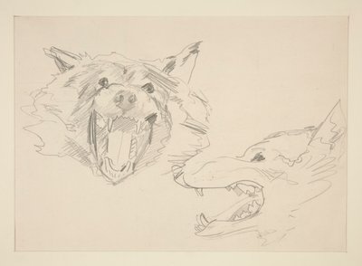 Dva pohledy na vlka od John Singer Sargent