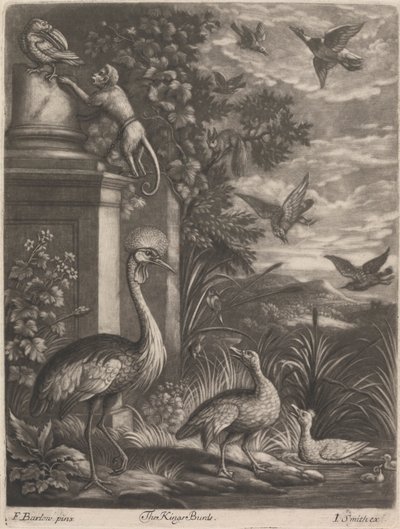 Kings Birds od John Smith