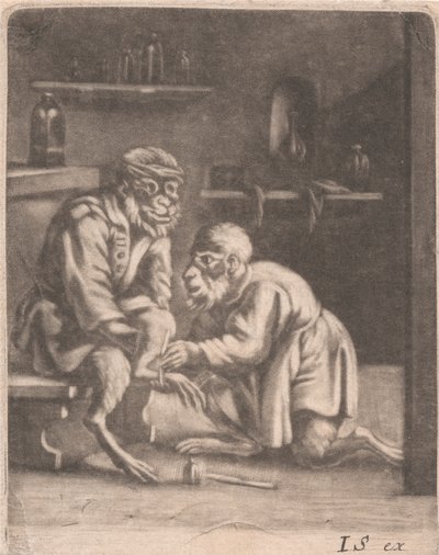 Dvě opice od John Smith
