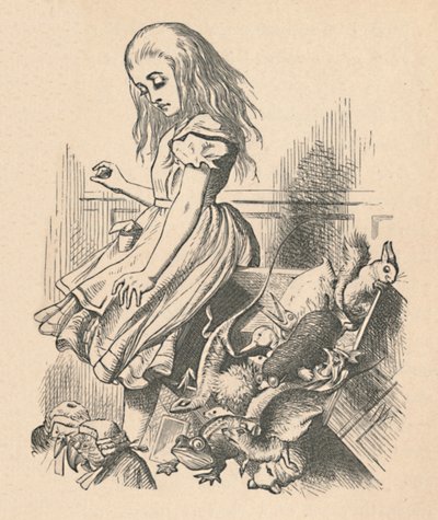 Alice a zvířata. Chaos a soud, 1889 od John Tenniel