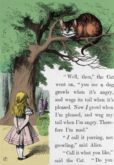 Alice and the Cat, ilustrace sira Johna Tenniela pro první vydání Alenky v říši divů od anglického spisovatele Lewise Carrolla (Charles Lutwidge Dodgson) (1832-1898). od John Tenniel