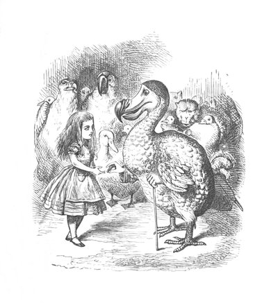 Alice a Dodo, 1889 od John Tenniel