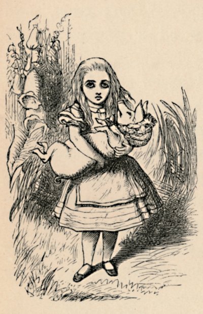 Alice držící prase v náručí, 1889 od John Tenniel