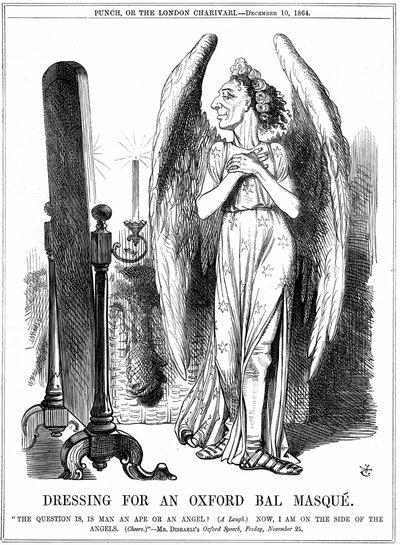 Benjamin Disraeli (1804-81) britský konzervativní státník. "Nyní jsem na straně andělů." John Tenniel karikatura z Punch, Londýn od John Tenniel