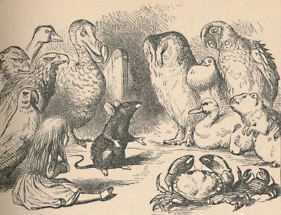 Ilustrace pro kapitolu Caucus-Race a dlouhý ocas. Alice a různé bytosti, jako např od John Tenniel