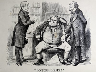 Politická satira zobrazující Williama Ewarta Gladstonea, Benjamina Disraeliho a Johna Bulla od John Tenniel