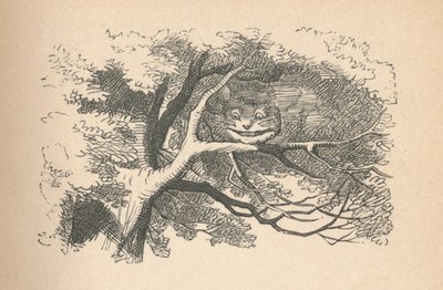 Cheshire Cat začíná mizet, jeho úsměv odešel jako poslední, 1889 od John Tenniel