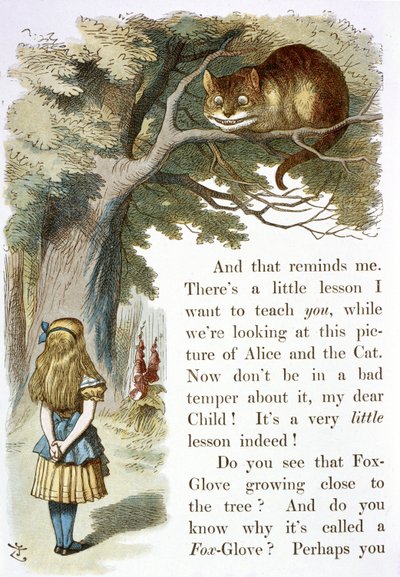 Cheshire kočka od John Tenniel