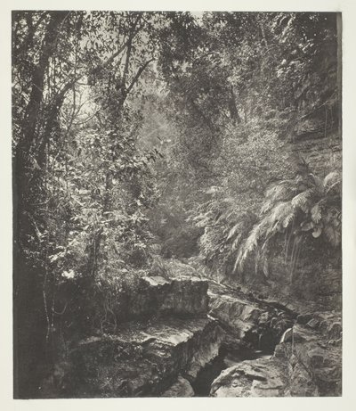 Horský průsmyk ve Formosě od John Thomson