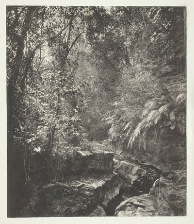 Horský průsmyk ve Formose, c. 1868. od John Thomson