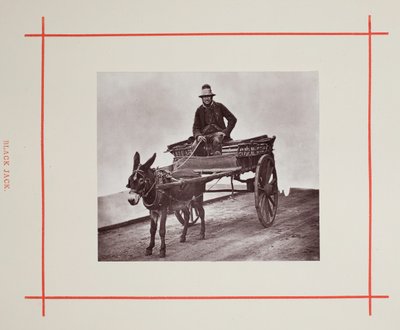 Black Jack, 1877. od John Thomson
