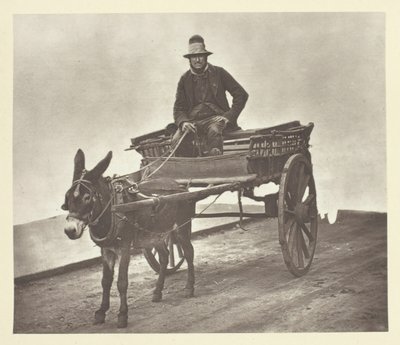 Black Jack, 1881. od John Thomson