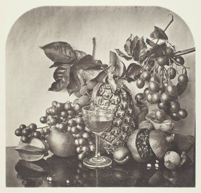 Ovoce od John Thomson