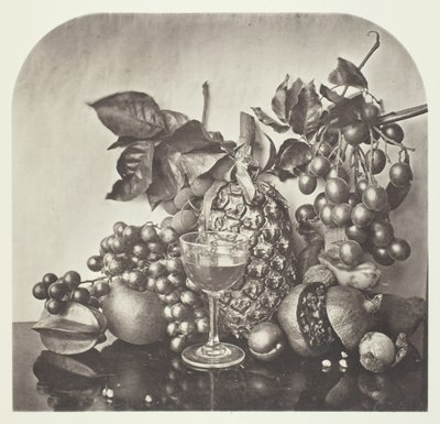 Ovoce, c. 1868. od John Thomson