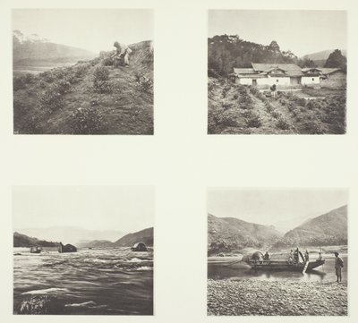 Čajový závod; Čajový závod; Yenping Rapids; Malý rychlý člun od John Thomson