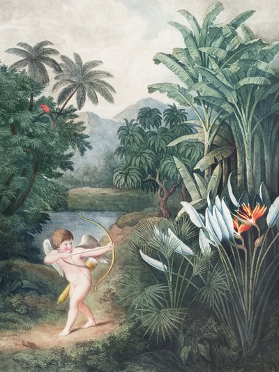 Cupid oživující rostliny láskou z Chrámu Flory (1807) od Roberta Johna Thorntona od John Thornton