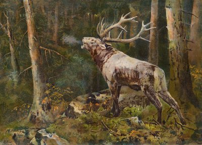  od John Trivett Nettleship