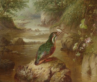 Haunt of the Kingfisher od John Wainwright