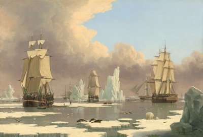 Lov severních velryb: Labuť a Isabella, c. 1840. od John Ward I