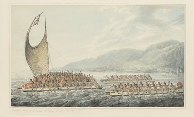 35: Tereoboo, král Owyhee, přináší dárky kapitánu Cookovi, ze série akvarelů ilustrujících poslední plavbu kapitána Cooka, cca 1773-84 (akvarel na papíře) od John Webber