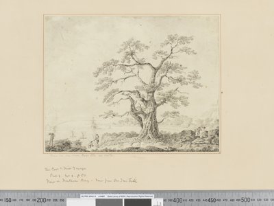 F.44 Pohled na mořské pobřeží, velký strom uprostřed, cca 1783-84 od John Webber