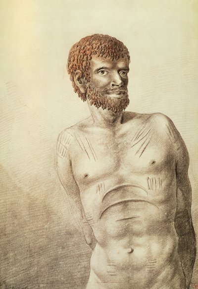 Pochází z Van Diemen