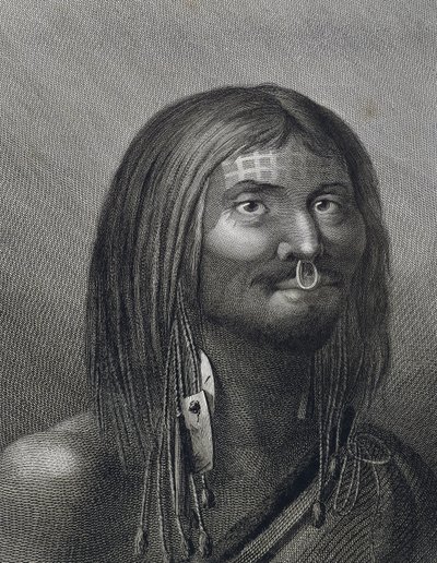 Polynéský muž z Nootka Sound, ilustrace Johna Webbera (1752-1793) vytvořená během třetí cesty (1776-1779) Jamese Cooka (1728-1779), od John Webber