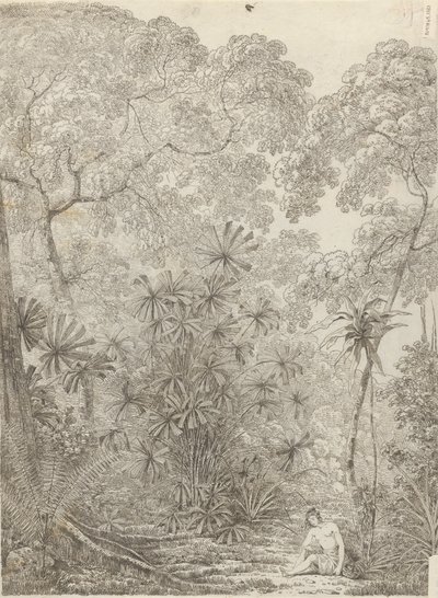 Fan Palm of Krakatoa od John Webber