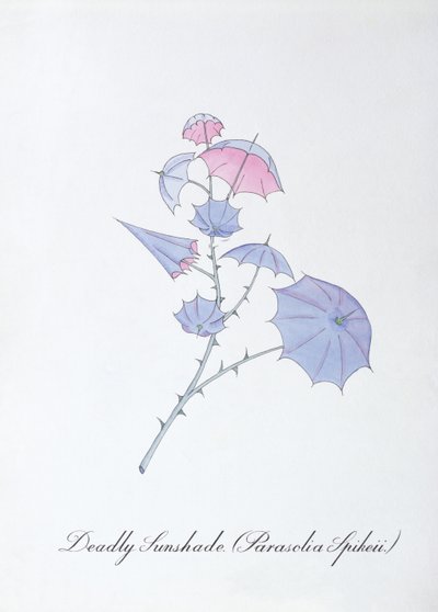 Deadly Sunshade (Parasolia Spikeii.), ilustrace z 