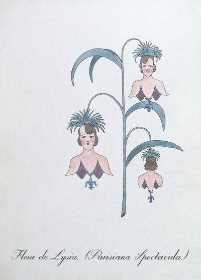 Fleur de Lysia (Parisiana Spectacula.), ilustrace z 