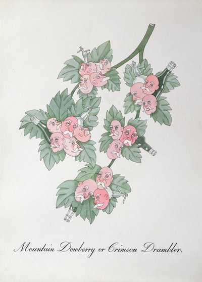 Mountain Dewberry or Crimson Drambler, ilustrace z „The Bogus Book of Botany“ od Johna Weira od John Weir