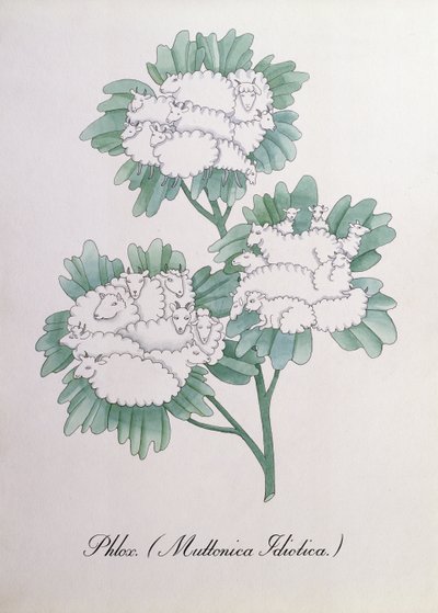 Flox. (Muttonica Idiotica), ilustrace z 