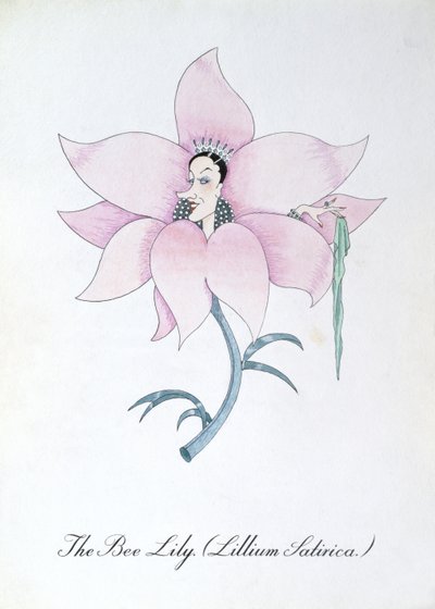 Včelí lilie (Lilium Satirical.), ilustrace z 