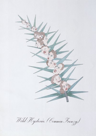 Wild Hysteria (Common Frenzy.), ilustrace z 
