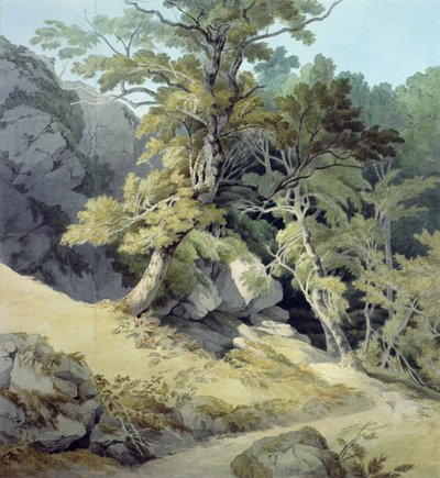 Canonteign, Devon od John White Abbott