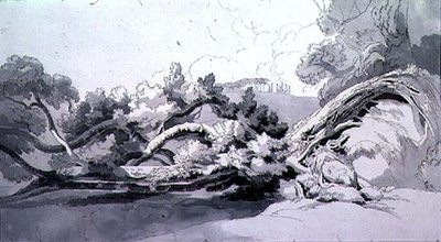 Krajina, s vyvráceným stromem od John White Abbott