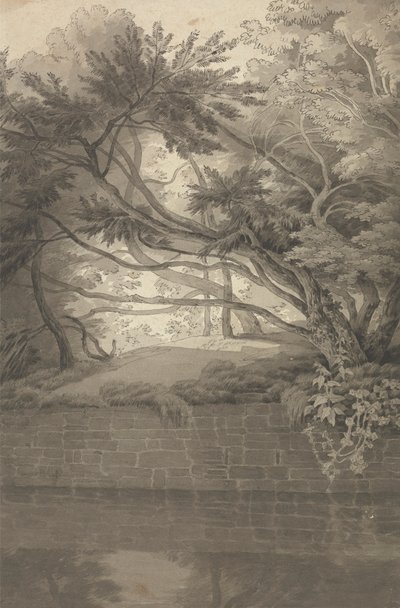 Stromy přečnívající jezero od John White Abbott