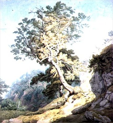 Pohled poblíž Canonteign, Devon od John White Abbott