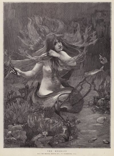 mořská panna (litho) od John William (after) Waterhouse