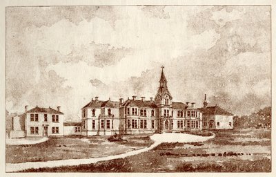 The Newcastle upon Tyne Lunatic Asylum, Coxlodge, c.1829 (fotolitho) od John William Dyson