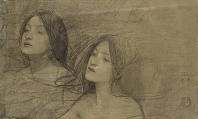 Studie dvou nymf pro „Hylas and the Nymphs“ (černá křída s určitým zvýšením na vybledlém šedém papíře) od John William Waterhouse