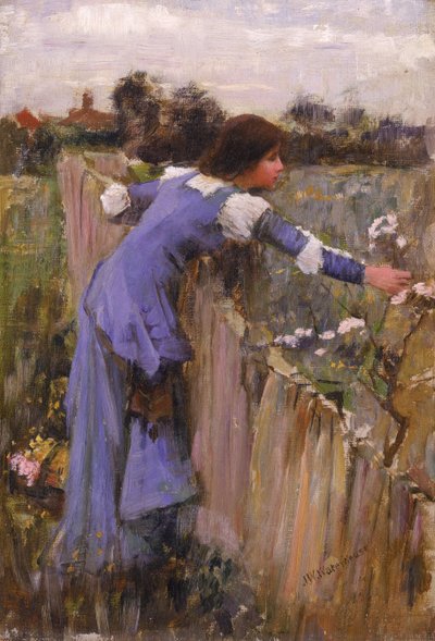 Sběrač květin od John William Waterhouse