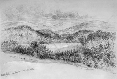 Hillbeck Embankment poblíž Brampton (bc a tužka na papíře) od John Wilson Carmichael