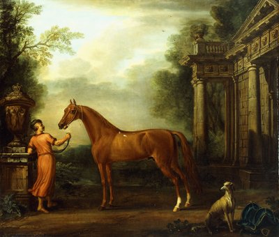 Kaštanový Arab z Hampton Court, kolem roku 1726 od John Wootton