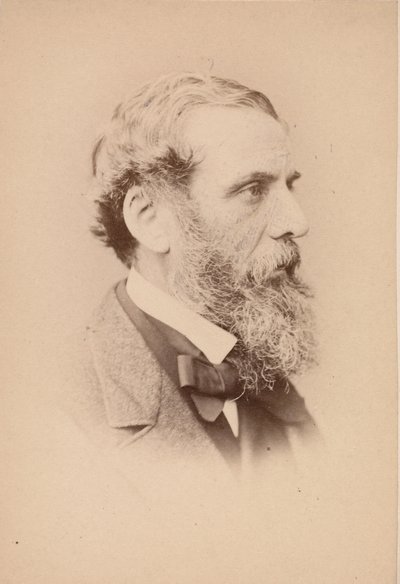 Richard Ansdell, 60. léta 19. století. od John and Charles Watkins
